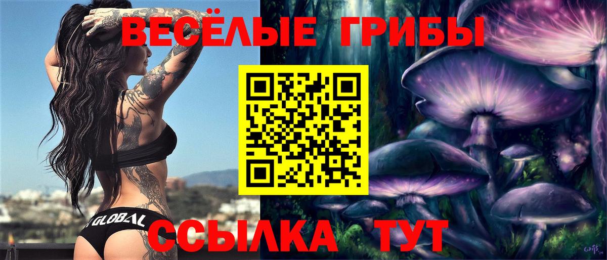 Псилоцибиновые грибы Cubensis Камень-на-Оби